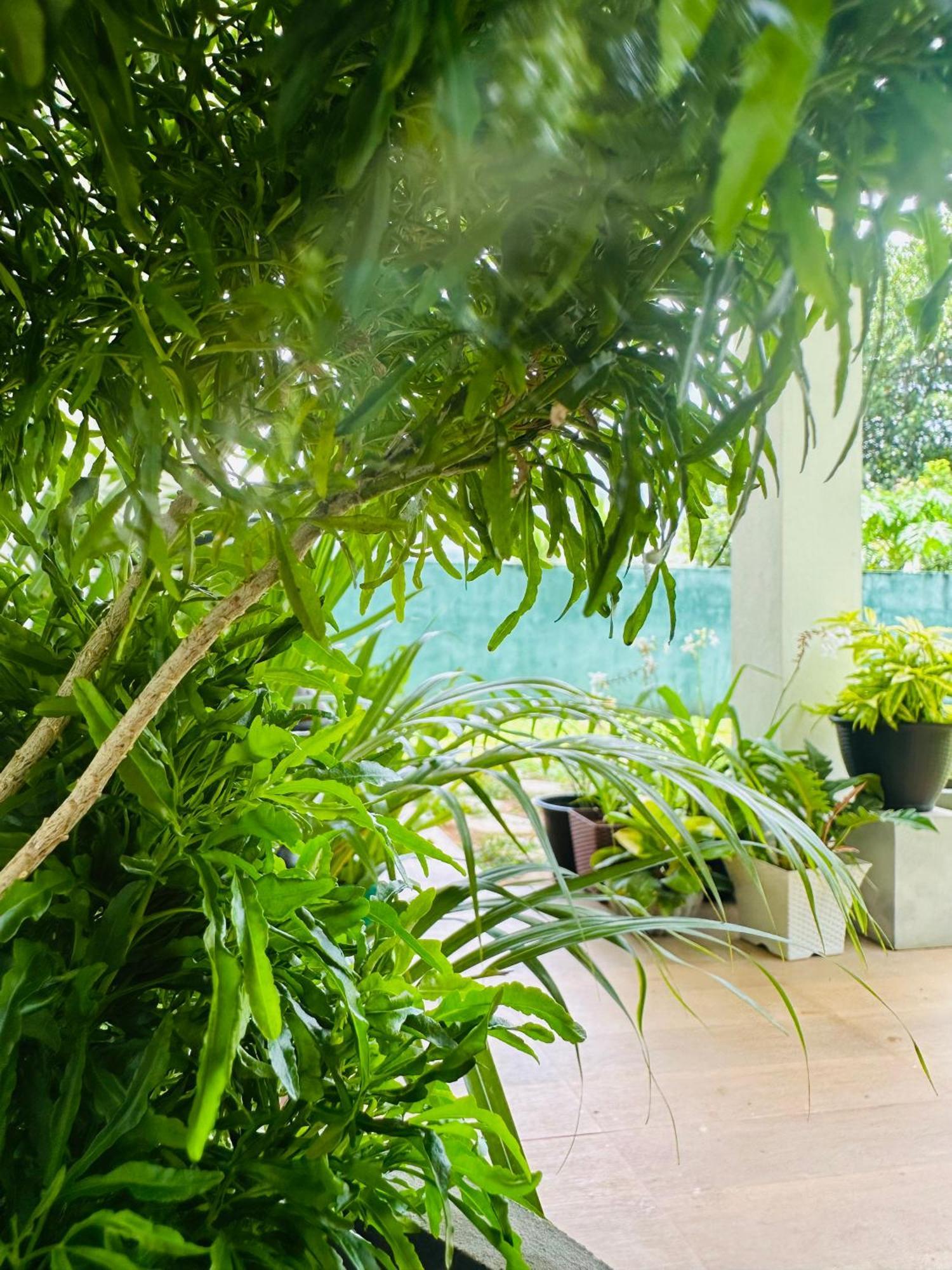 D Studio Villa Matugama Exterior foto